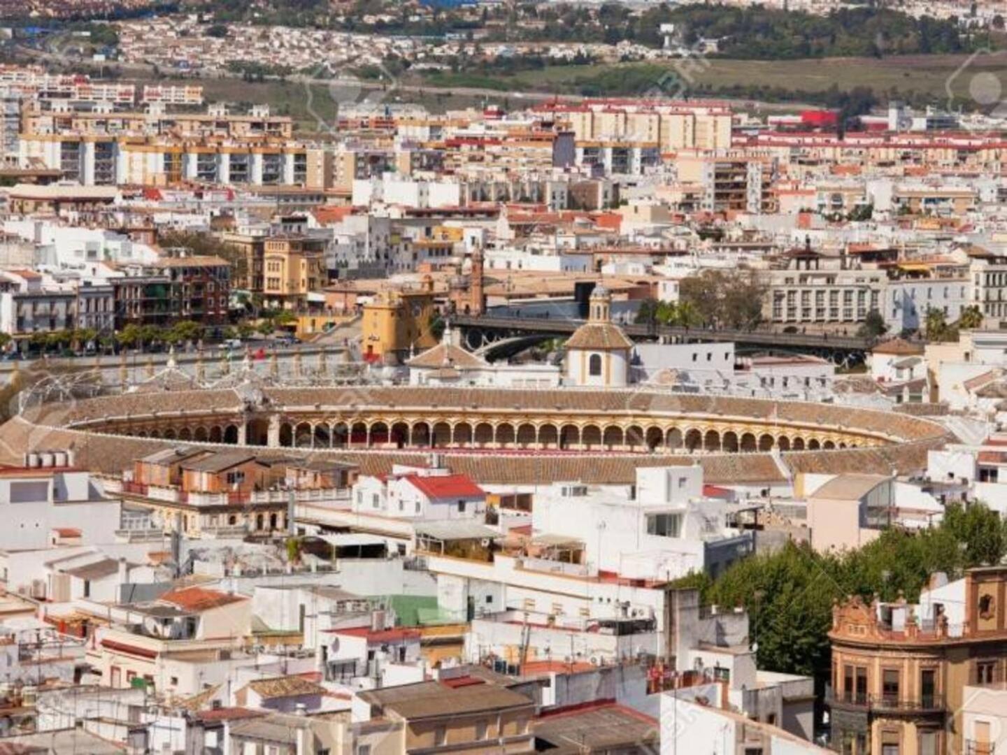 Pure Elegance And Confort Sevilla